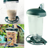 Outdoor Glass Window Viewing Bird Feeder Automatic Seed Peanut Suction Up