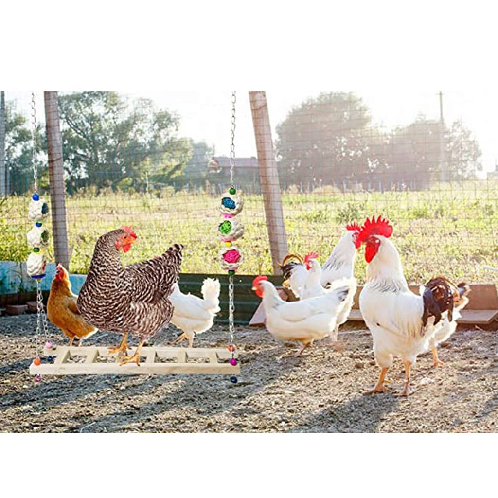 Chicken Ladder Swing Chicken Perch Stand for Chicken Birds Parrots Ladder-B