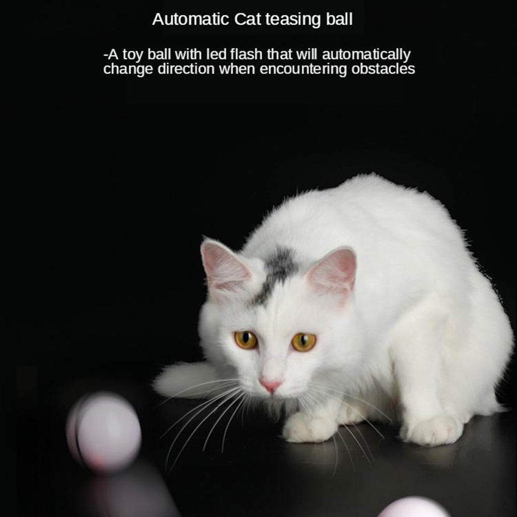 Smart Interactive Cat Ball Cat Exercise Chaser Toy Built-in LED Light White