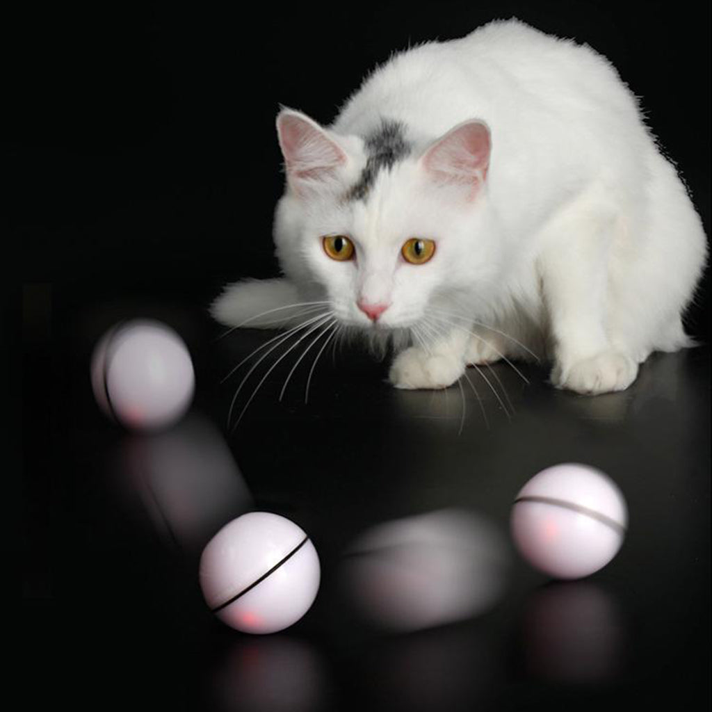 Smart Interactive Cat Ball Cat Exercise Chaser Toy Built-in LED Light White