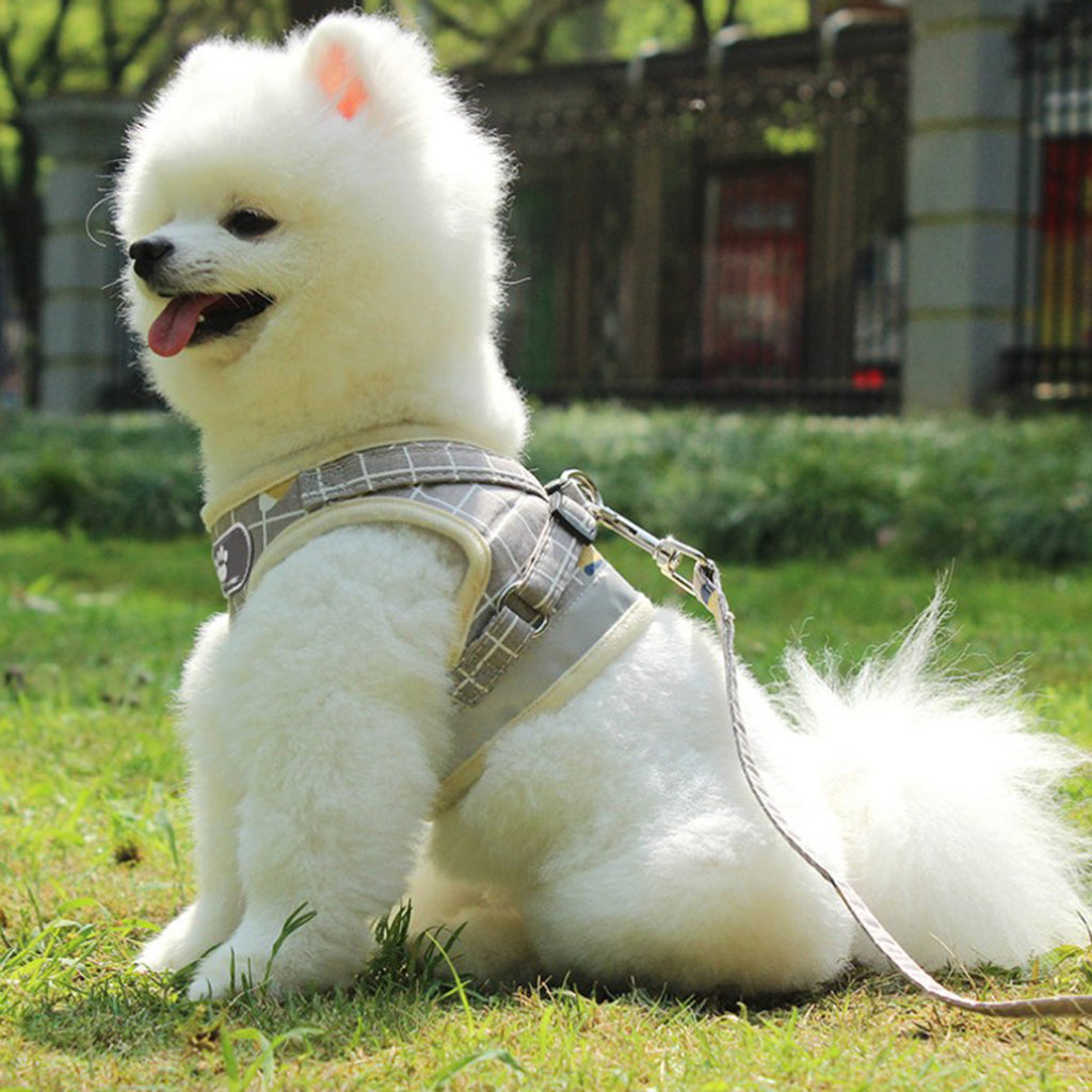 Breathable Dog Cat Vest Harness Pet Outdoor Walking Traction Rope Gray-M