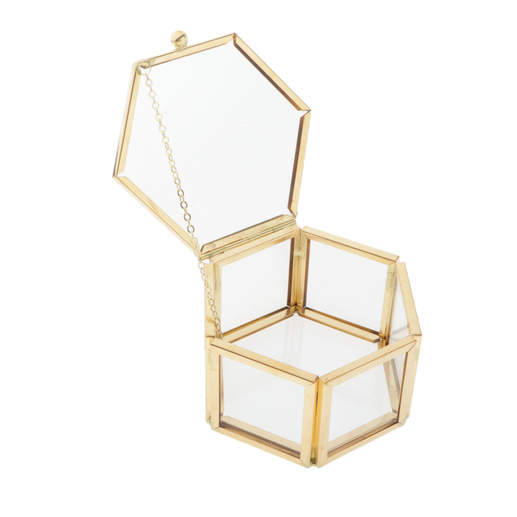 Glass Jewelry Organizer Display Boxes with Lid Plant Flower Holder Terrarium