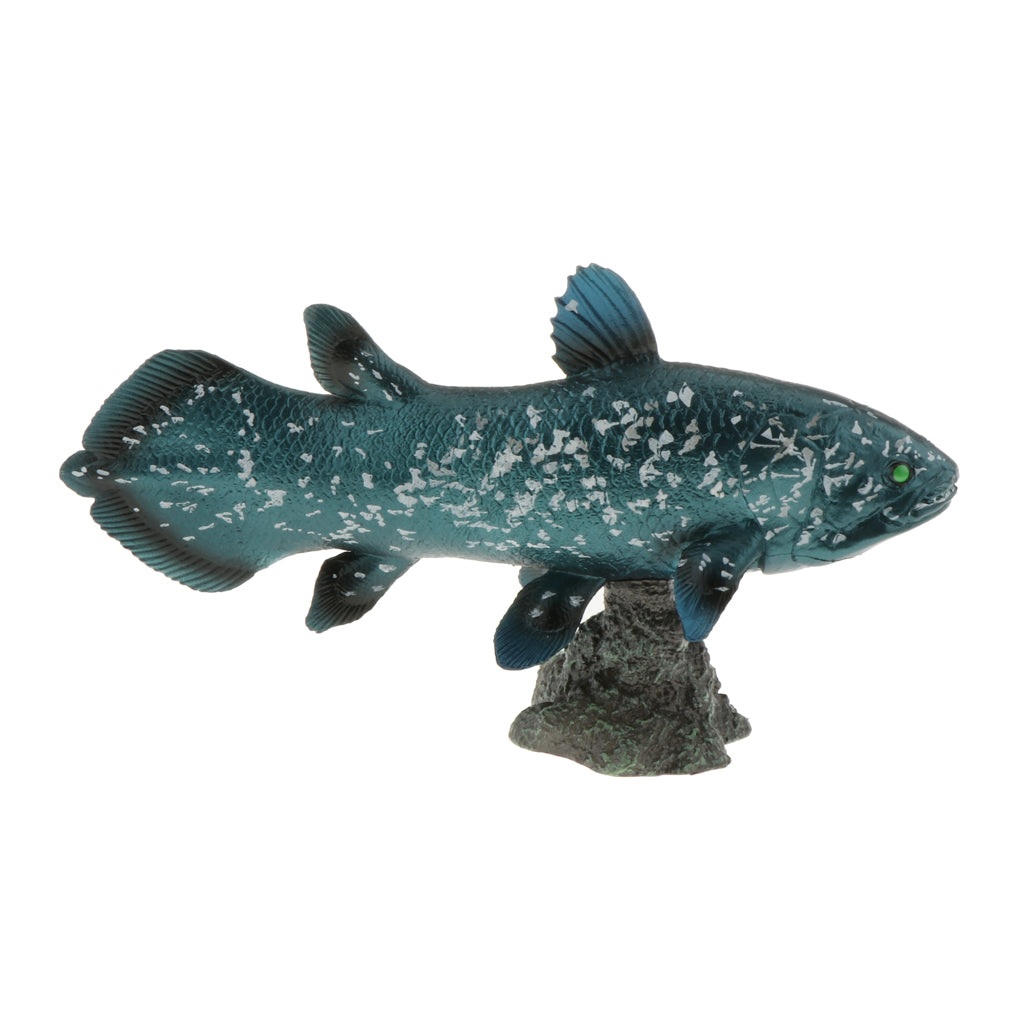 Realistic Static Ocean Animal Model Toy Kids Gift Latimeria with Base