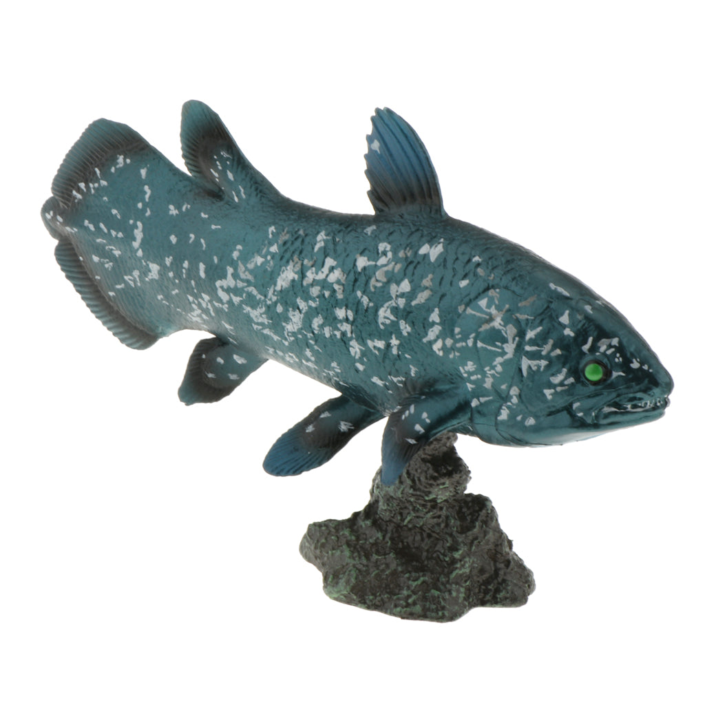 Realistic Static Ocean Animal Model Toy Kids Gift Latimeria with Base