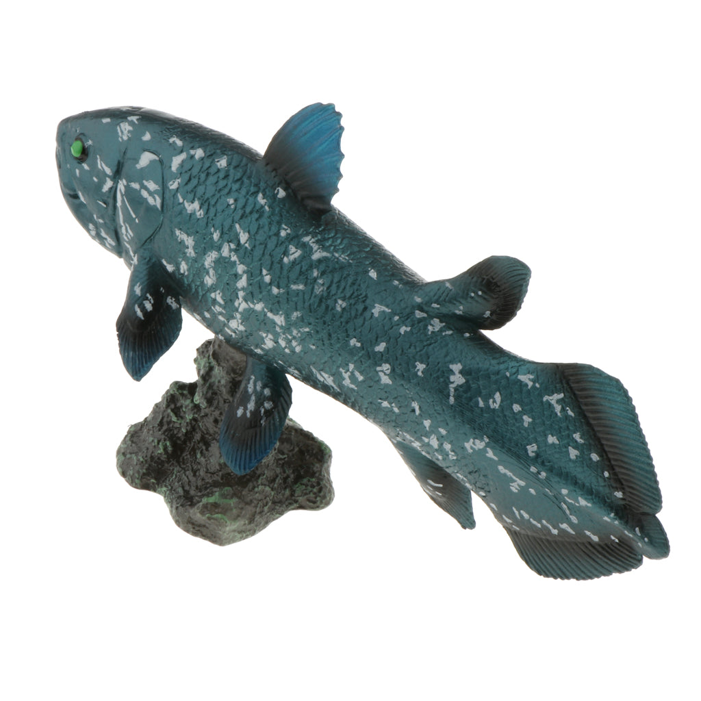 Realistic Static Ocean Animal Model Toy Kids Gift Latimeria with Base