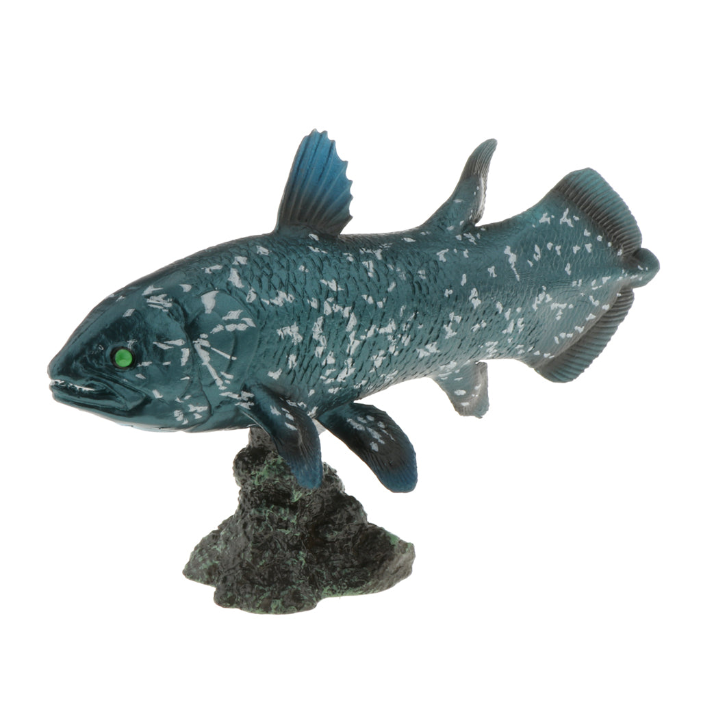 Realistic Static Ocean Animal Model Toy Kids Gift Latimeria with Base