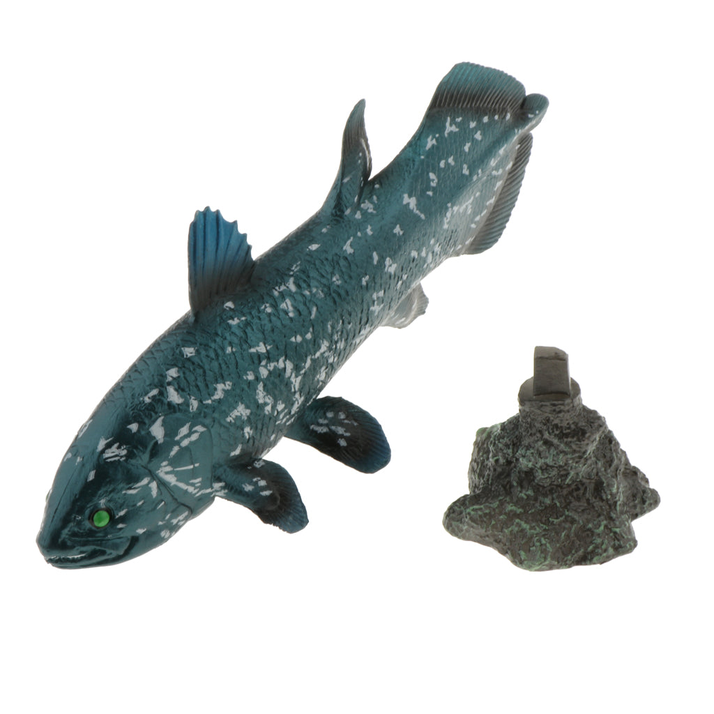 Realistic Static Ocean Animal Model Toy Kids Gift Latimeria with Base