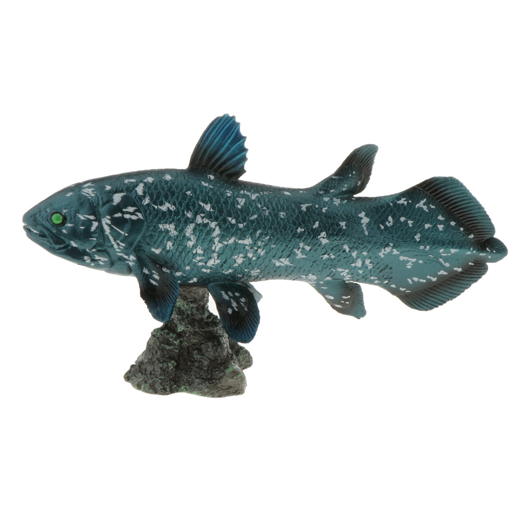 Realistic Static Ocean Animal Model Toy Kids Gift Latimeria with Base