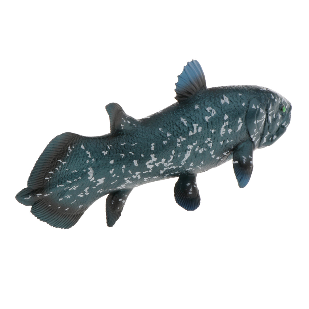 Realistic Static Ocean Animal Model Toy Kids Gift Latimeria