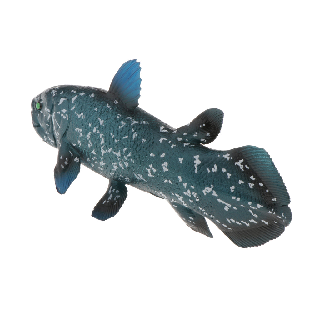 Realistic Static Ocean Animal Model Toy Kids Gift Latimeria