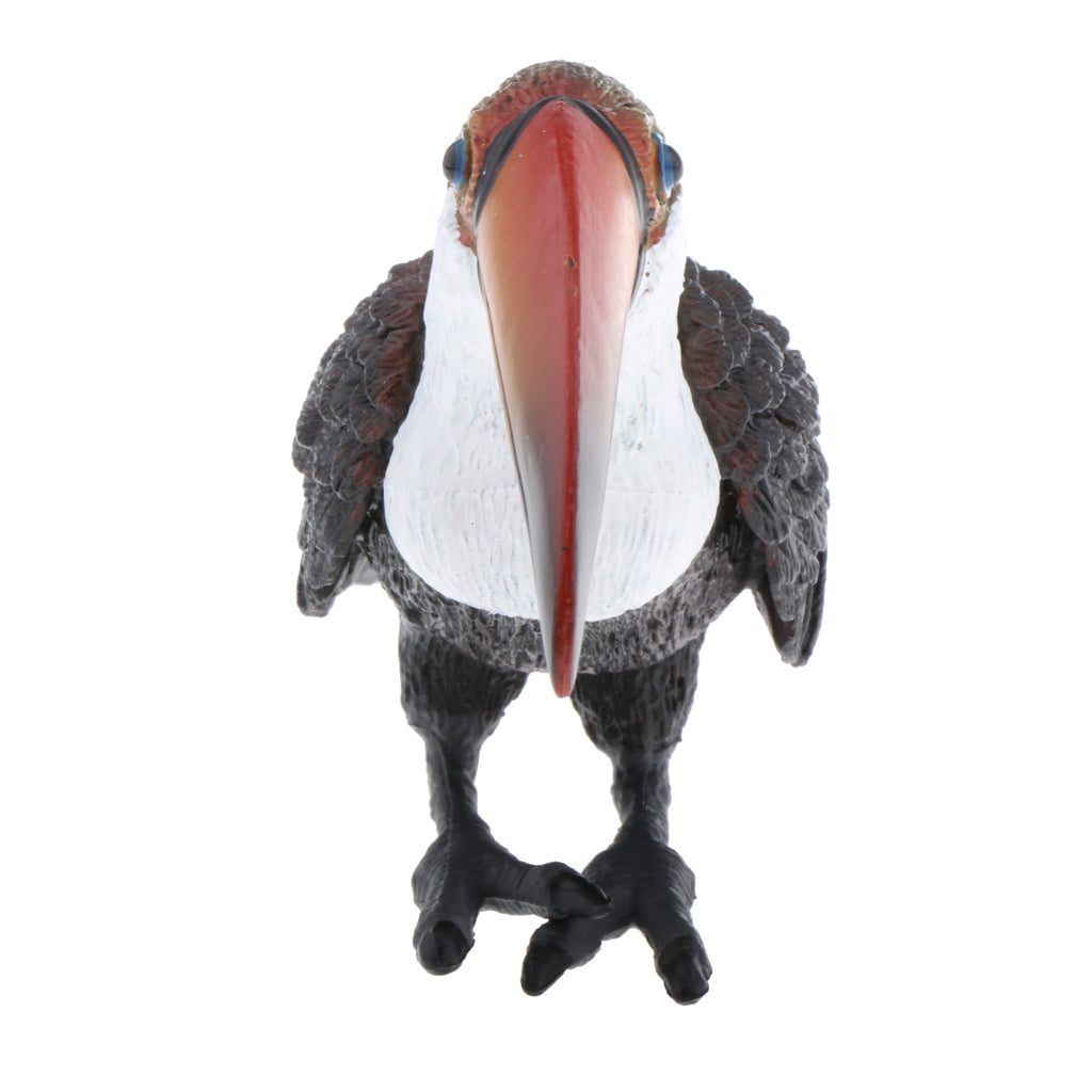 Static Animal Model Action Figure Toy for Kids and Adults Large Toucan