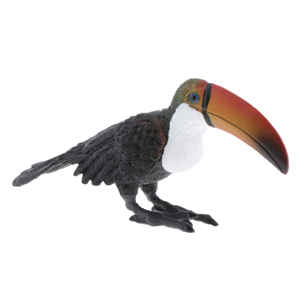 Static Animal Model Action Figure Toy for Kids and Adults Large Toucan