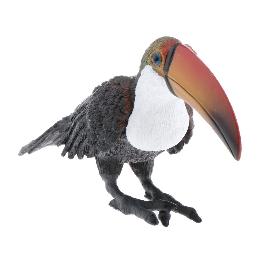 Static Animal Model Action Figure Toy for Kids and Adults Large Toucan