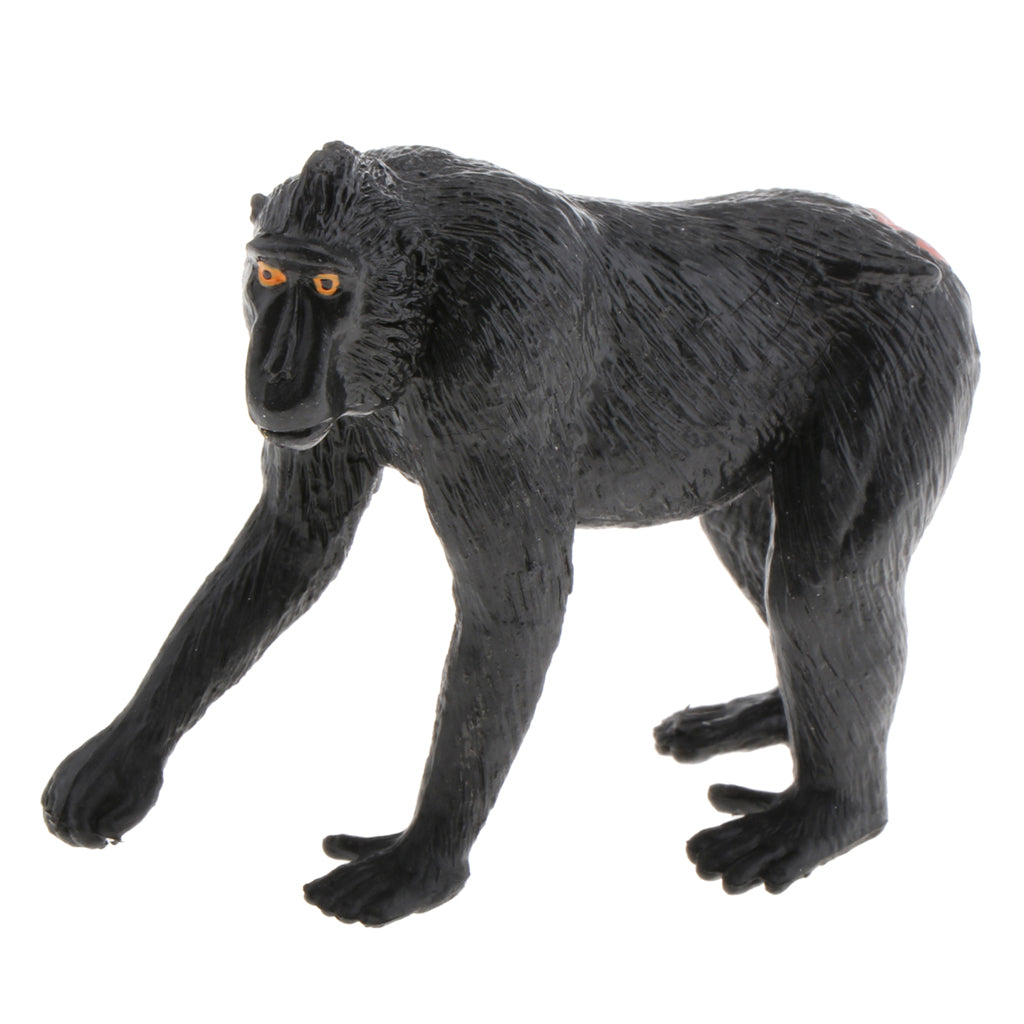 Static Animal Model Action Figure Toy for Kids and Adults Macaca Nigra