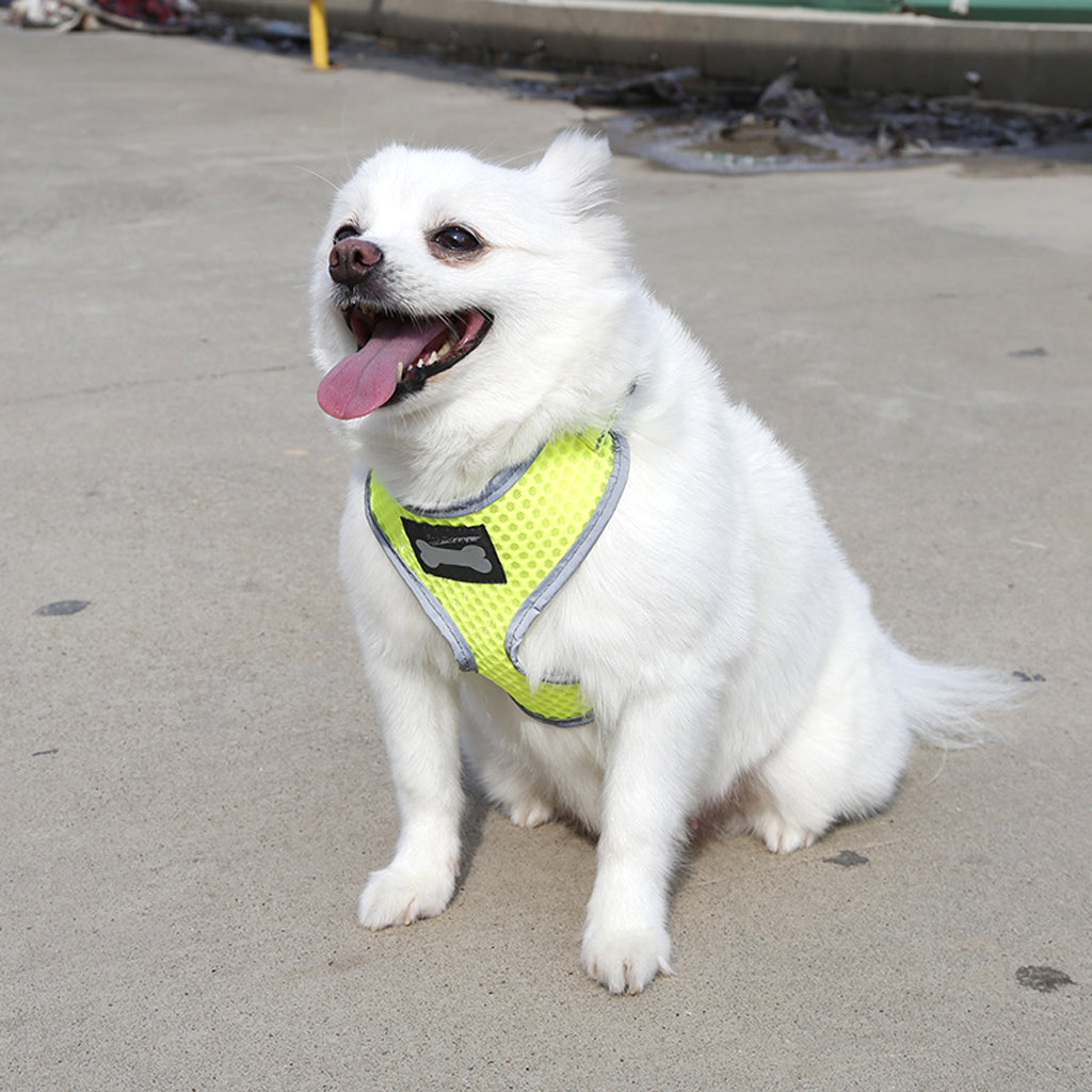 Breathable Mesh Pet Puppy Dog Walking Collar Chest Strap Harness Yellow L