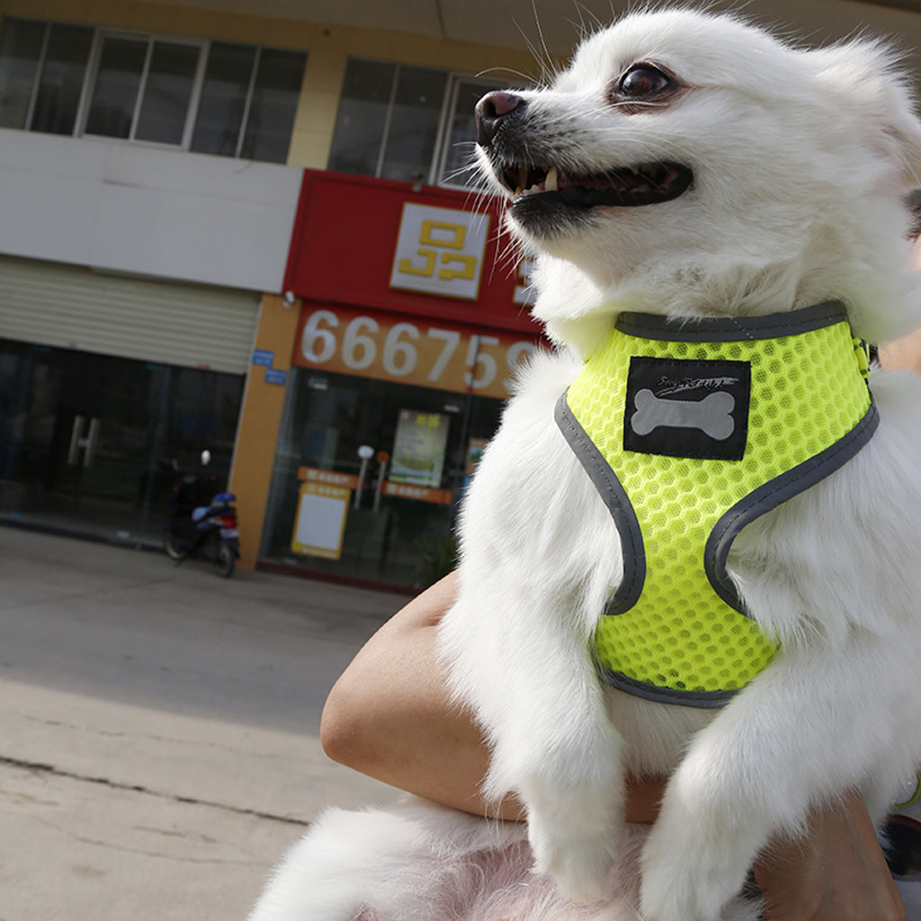 Breathable Mesh Pet Puppy Dog Walking Collar Chest Strap Harness Yellow L