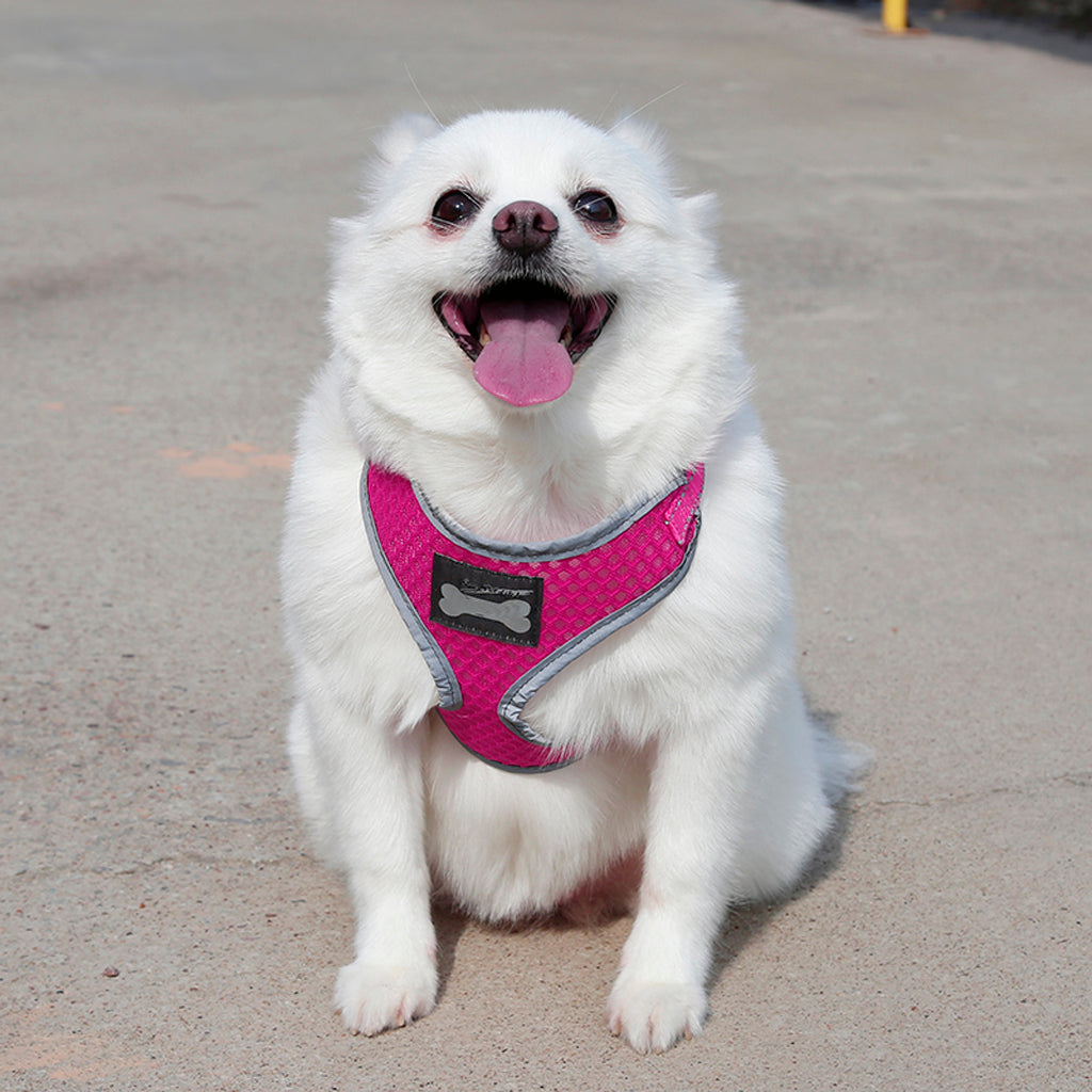 Breathable Mesh Pet Puppy Dog Walking Collar Chest Strap Harness Rose Red M