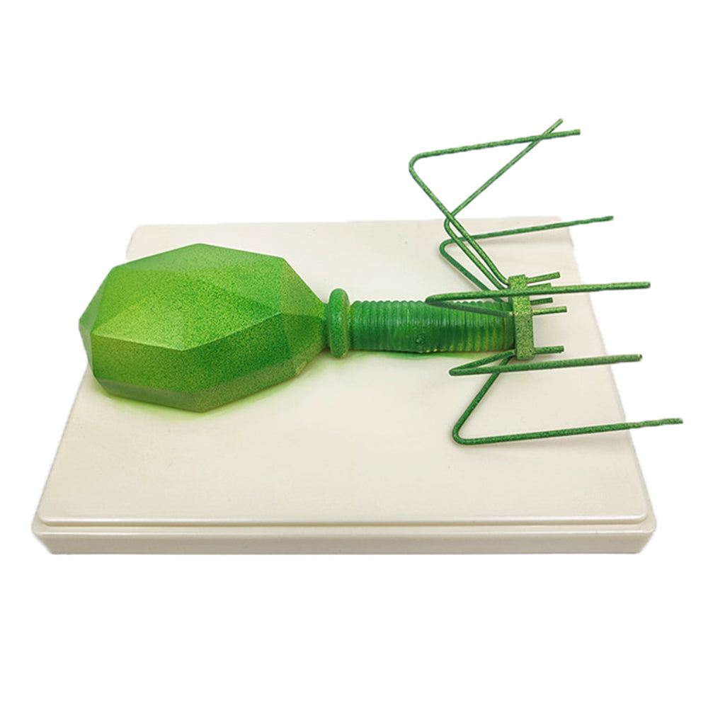 Kids Educational Specimen Bacteriophage Germ Biological Experiment Teaching