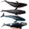 Realistic Whale Animal Model Education Soft Figure Kids Toy Sperm Whale