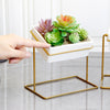 Desktop Rotating Ceramic Planter Succulent Pot with Metal Stand Holder Gold