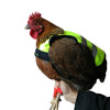 Pet Reflective Vest Chicken Poultry Hen Saddle For Poultry Chicken Yellow