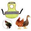 Pet Reflective Vest Chicken Poultry Hen Saddle For Poultry Chicken Rose Red