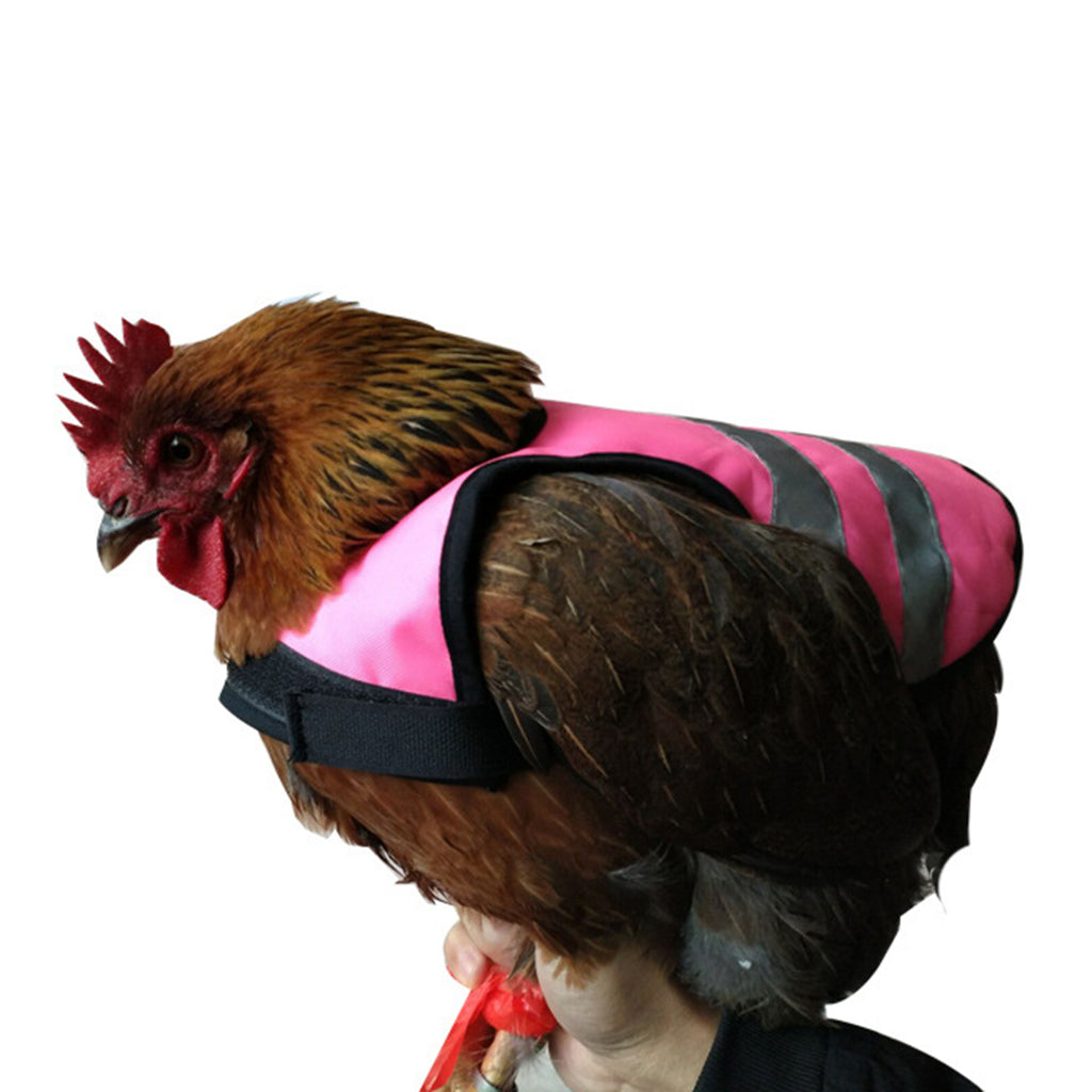 Pet Reflective Vest Chicken Poultry Hen Saddle For Poultry Chicken Rose Red