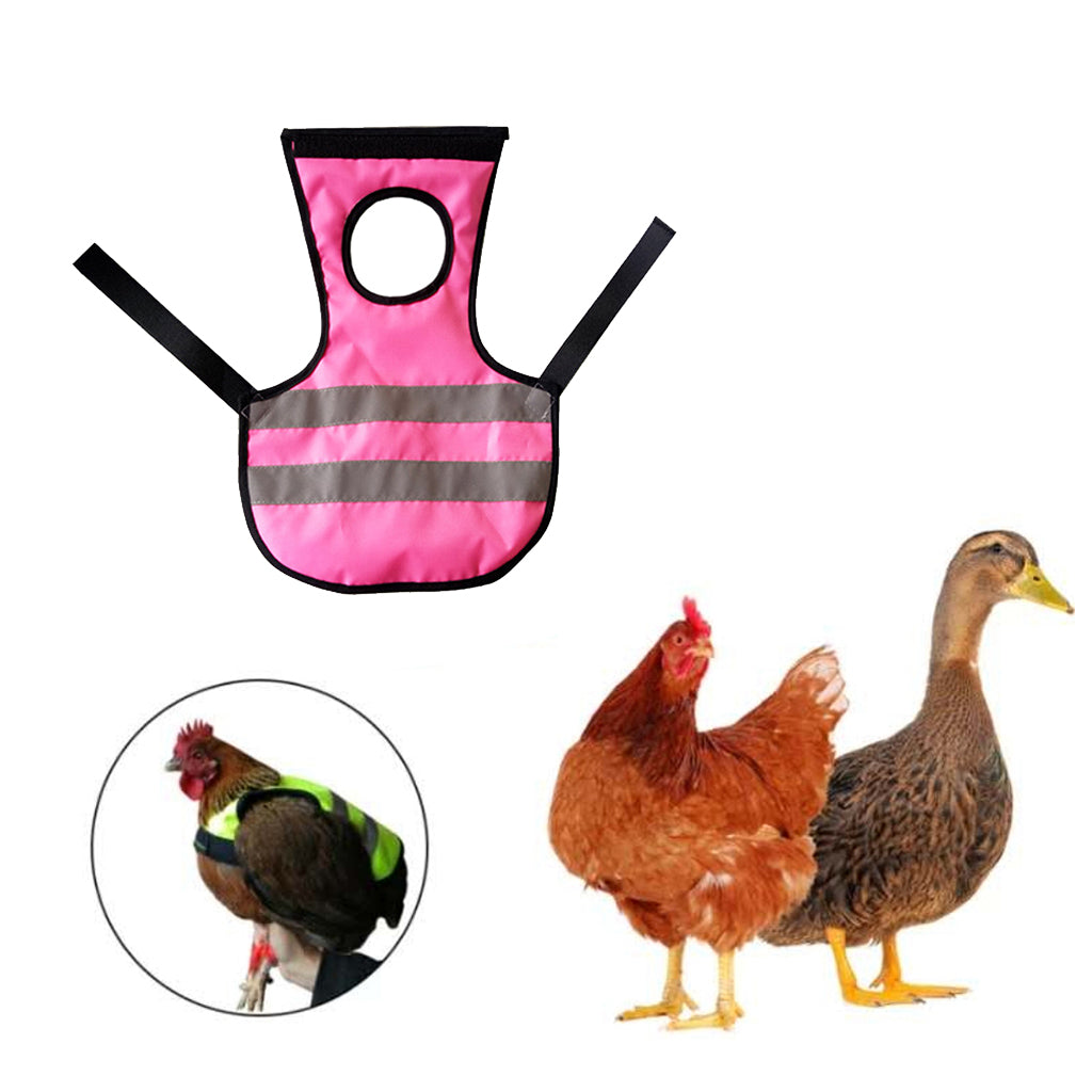 Pet Reflective Vest Chicken Poultry Hen Saddle For Poultry Chicken Rose Red