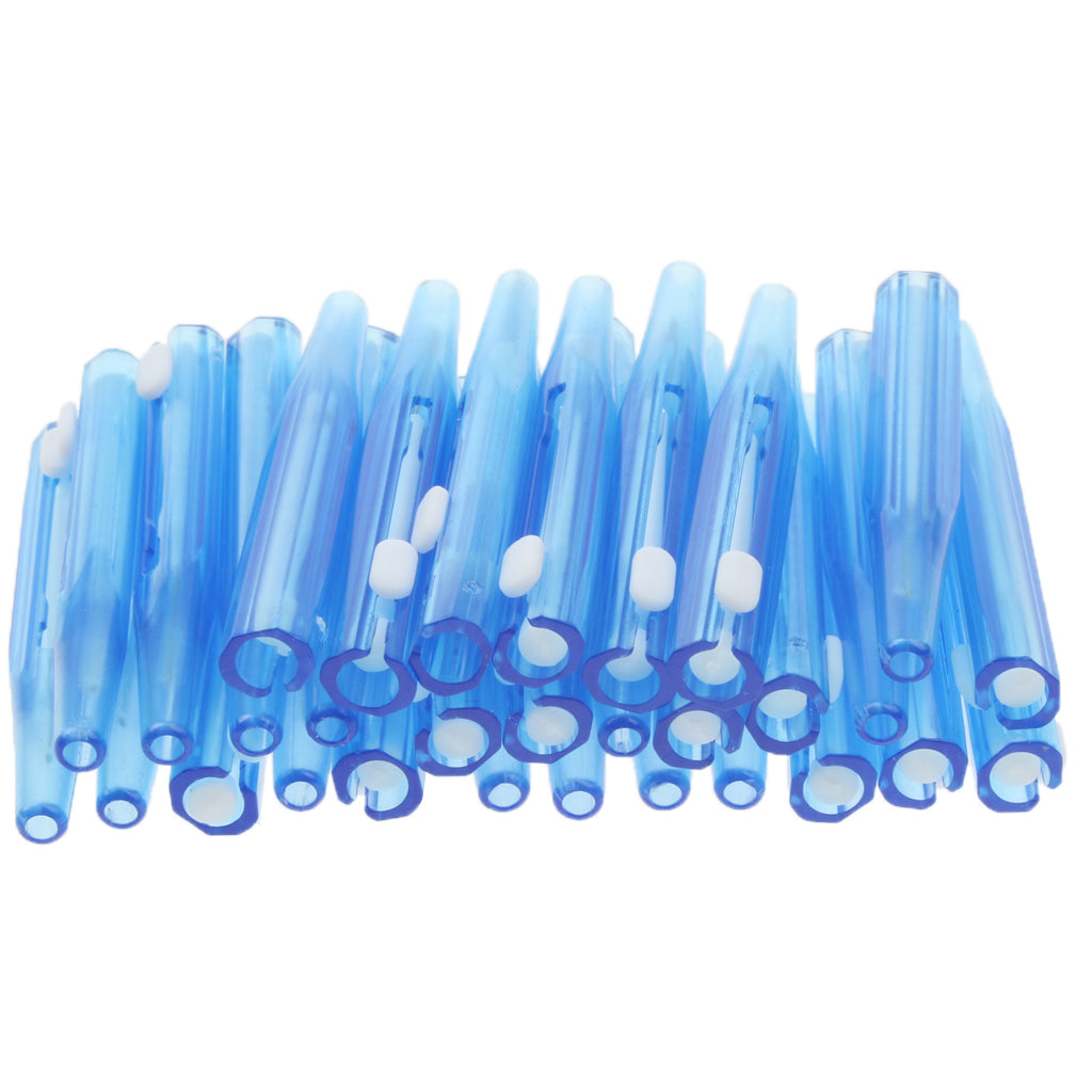 Dental Care Tooth Pick Intertooth Brush Toothbrush Gap Brush Toothpick Blue