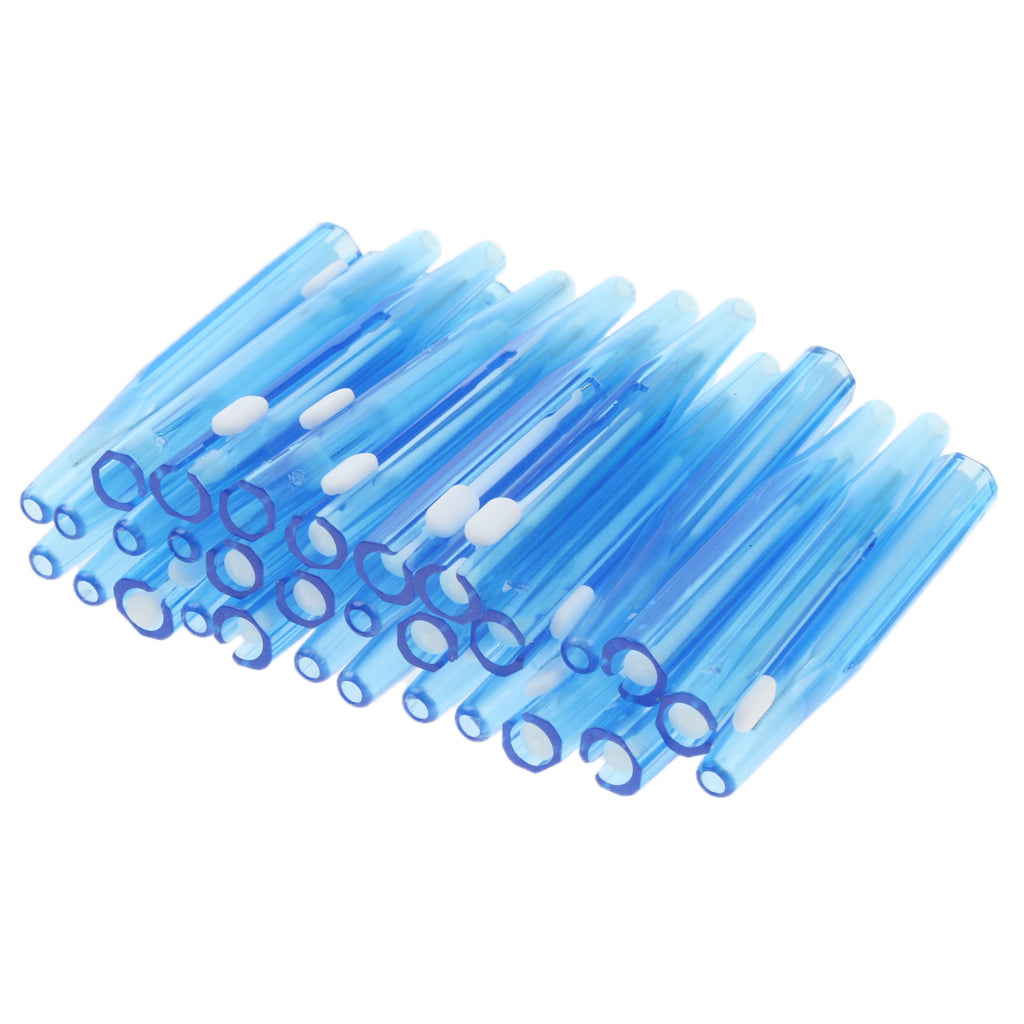 Dental Care Tooth Pick Intertooth Brush Toothbrush Gap Brush Toothpick Blue