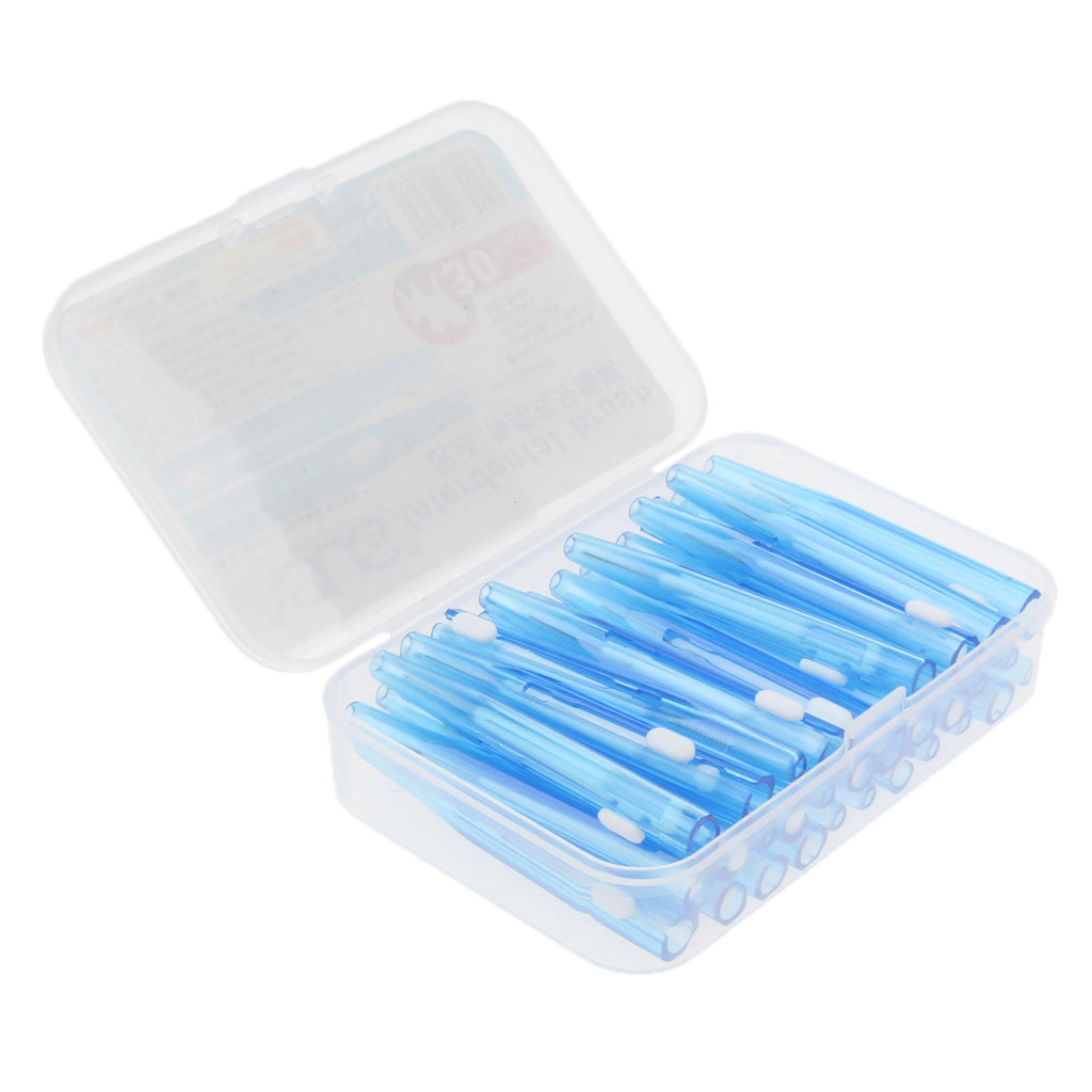 Dental Care Tooth Pick Intertooth Brush Toothbrush Gap Brush Toothpick Blue