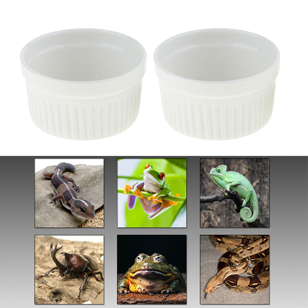 2 Pcs Ceramic Reptile Anti Escape Reptile Food Water Basin Bathtub Type B