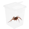 Reptiles Terrariums Feeding Box for Spider Insect Cricket Snail Frog M