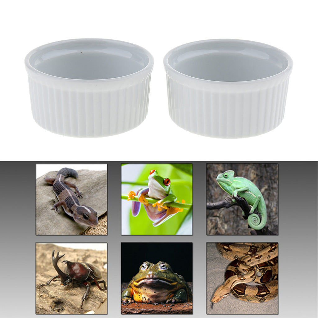 2 Pcs Reptile Feeder Ceramics Food Bowl Anti-escape Dish for Lizard C Style