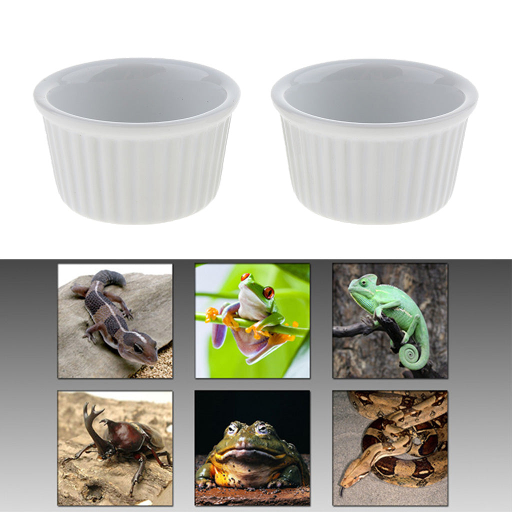 2 Pcs Reptile Feeder Ceramics Food Bowl Anti-escape Dish for Lizard A Style