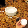 2 Pcs Reptile Feeder Ceramics Food Bowl Anti-escape Dish for Lizard A Style