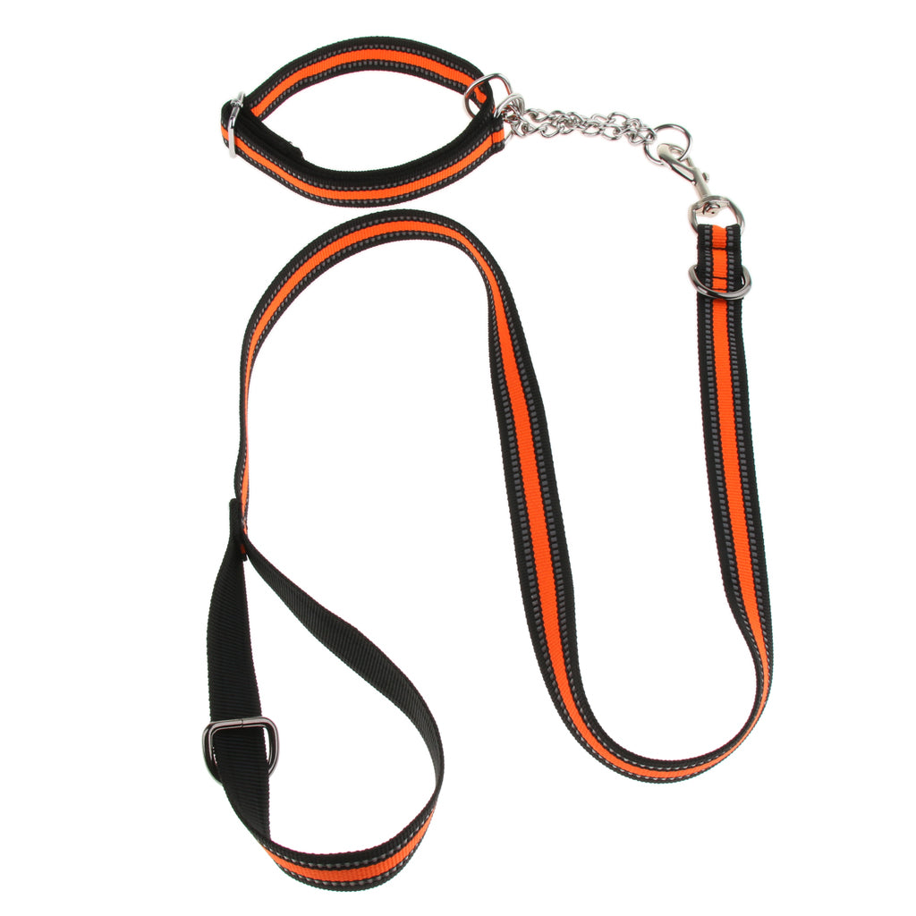 Reflective Strong Nylon Rope Dog Leash Collar Set for Walking Hiking Orange