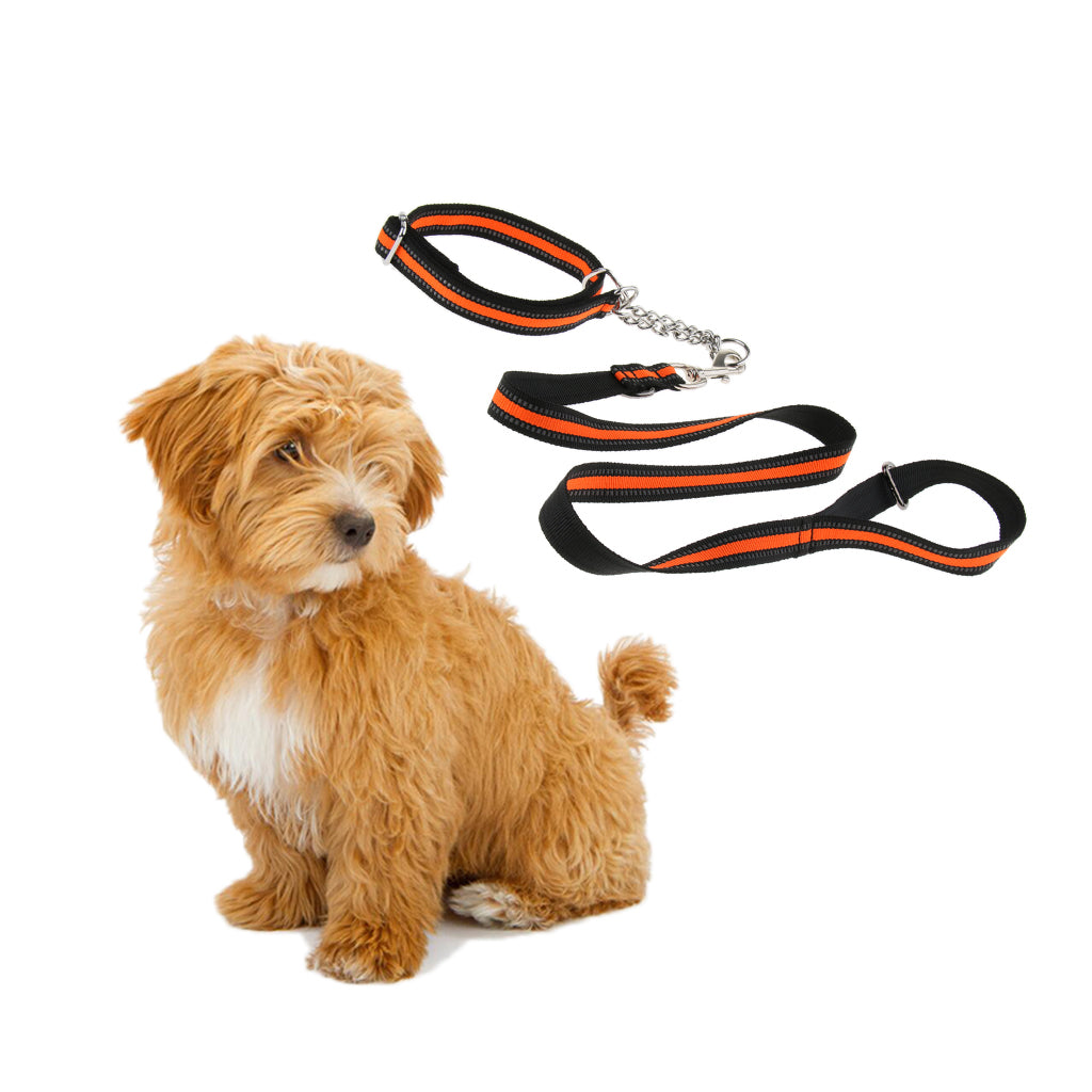 Reflective Strong Nylon Rope Dog Leash Collar Set for Walking Hiking Orange