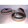 Reflective Strong Nylon Rope Dog Leash Collar Set for Walking Hiking Orange