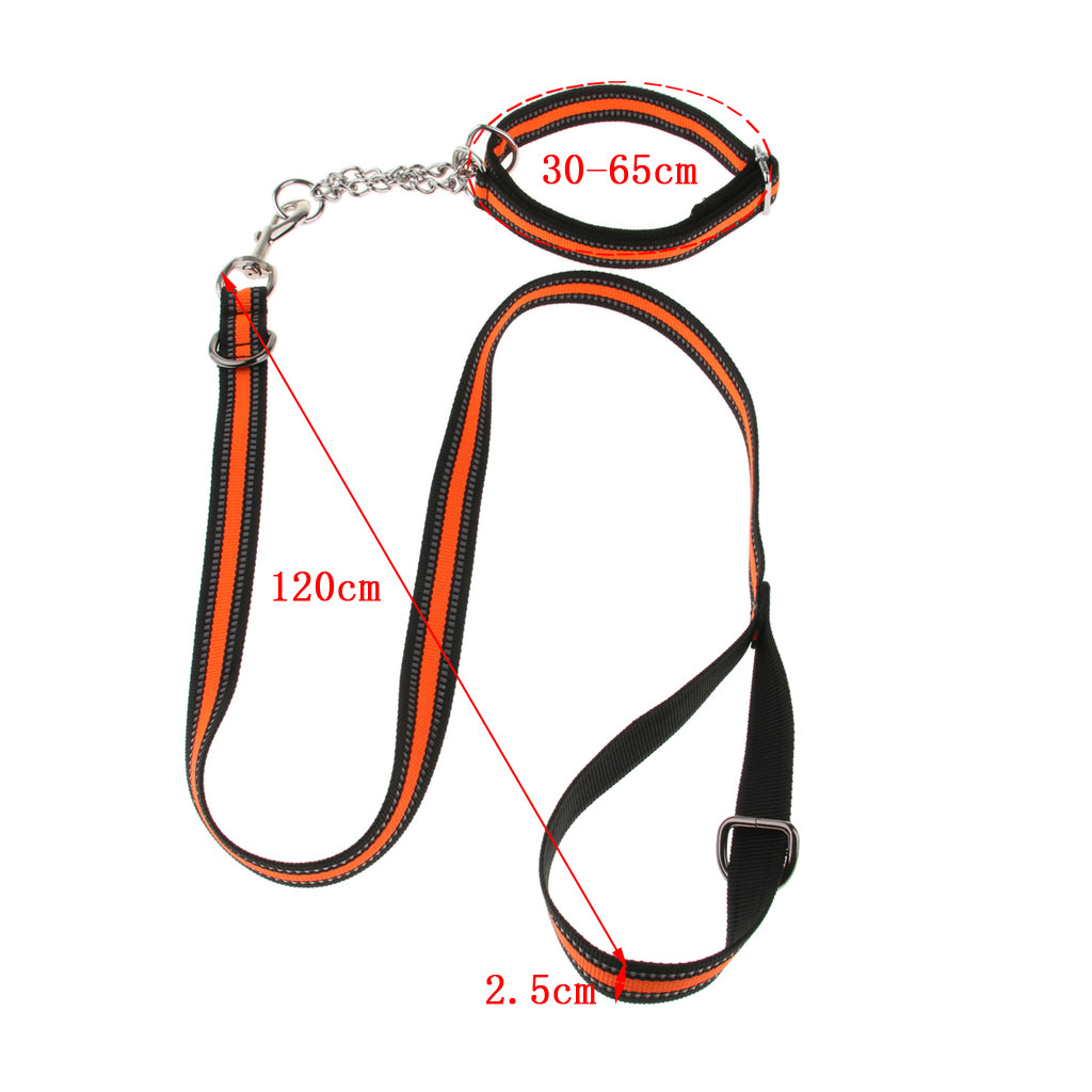 Reflective Strong Nylon Rope Dog Leash Collar Set for Walking Hiking Orange