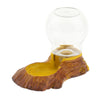 Firm & Durable Pet Reptile Turtle Lizard Waterer Water Dish