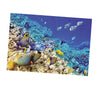 Aquarium Background Poster Fish Tank Wall Decoration Sticker XS