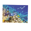 Aquarium Background Poster Fish Tank Wall Decoration Sticker XS