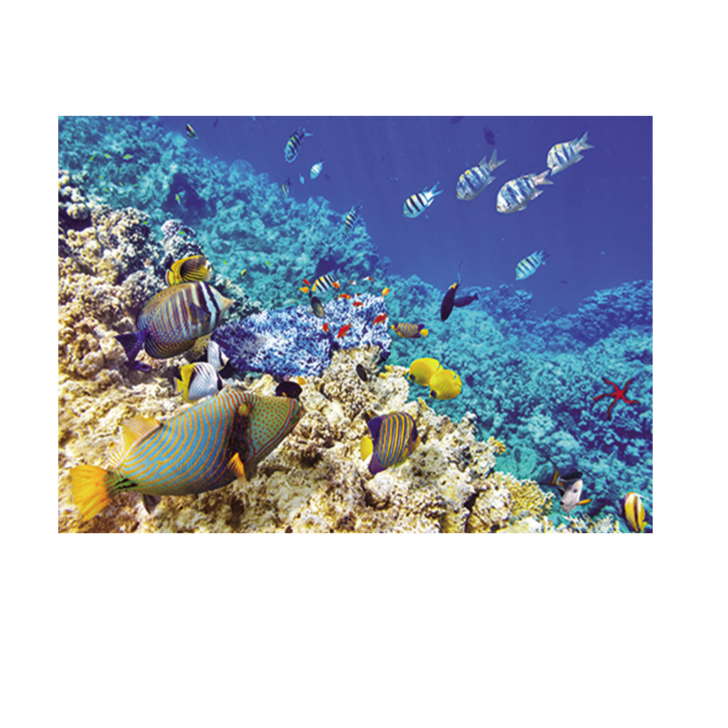 Aquarium Background Poster Fish Tank Wall Decoration Sticker XS