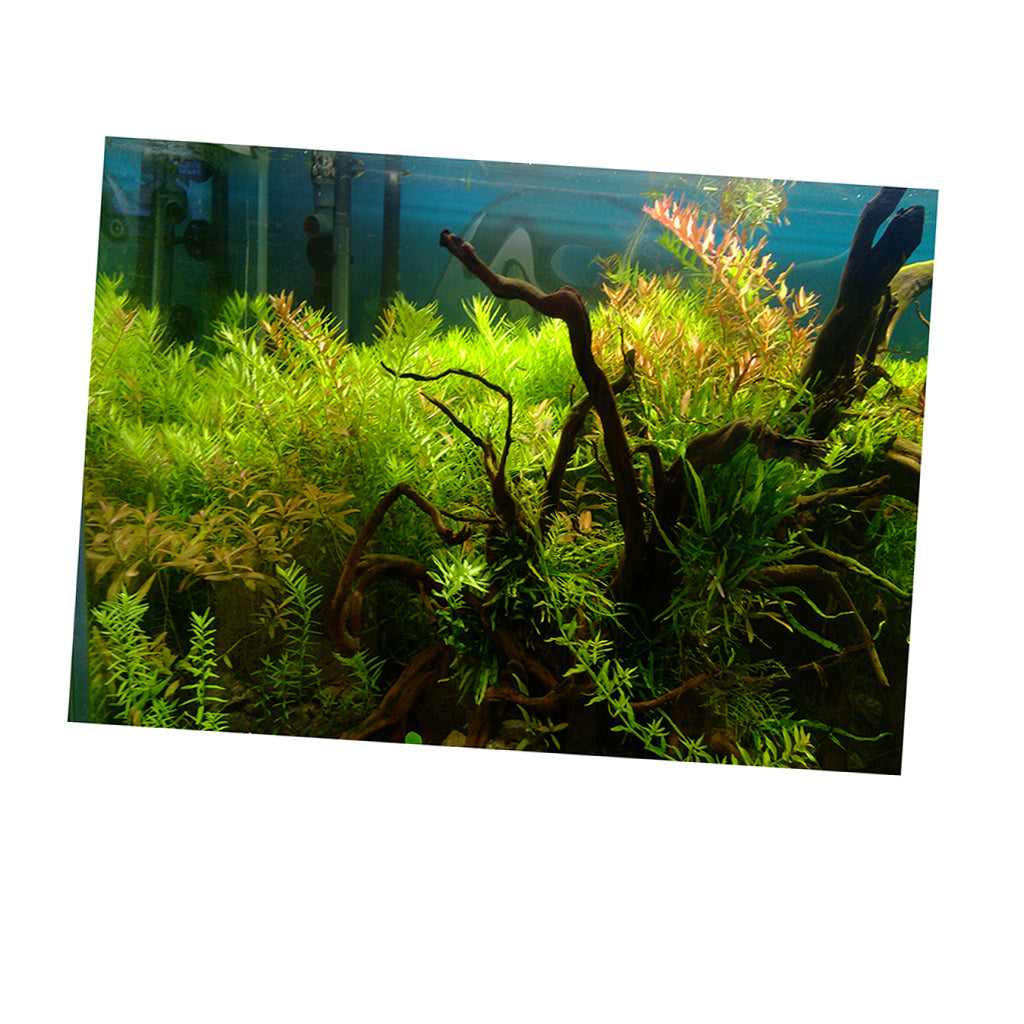 Aquarium Background Poster Fish Tank Wallpaper Sticker Underwater Decor L