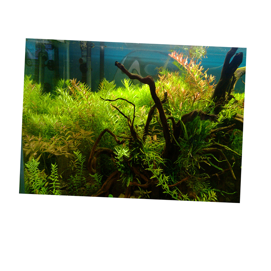 Aquarium Background Poster Fish Tank Wallpaper Sticker Underwater Decor L