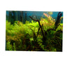 Aquarium Background Poster Fish Tank Wallpaper Sticker Underwater Decor L