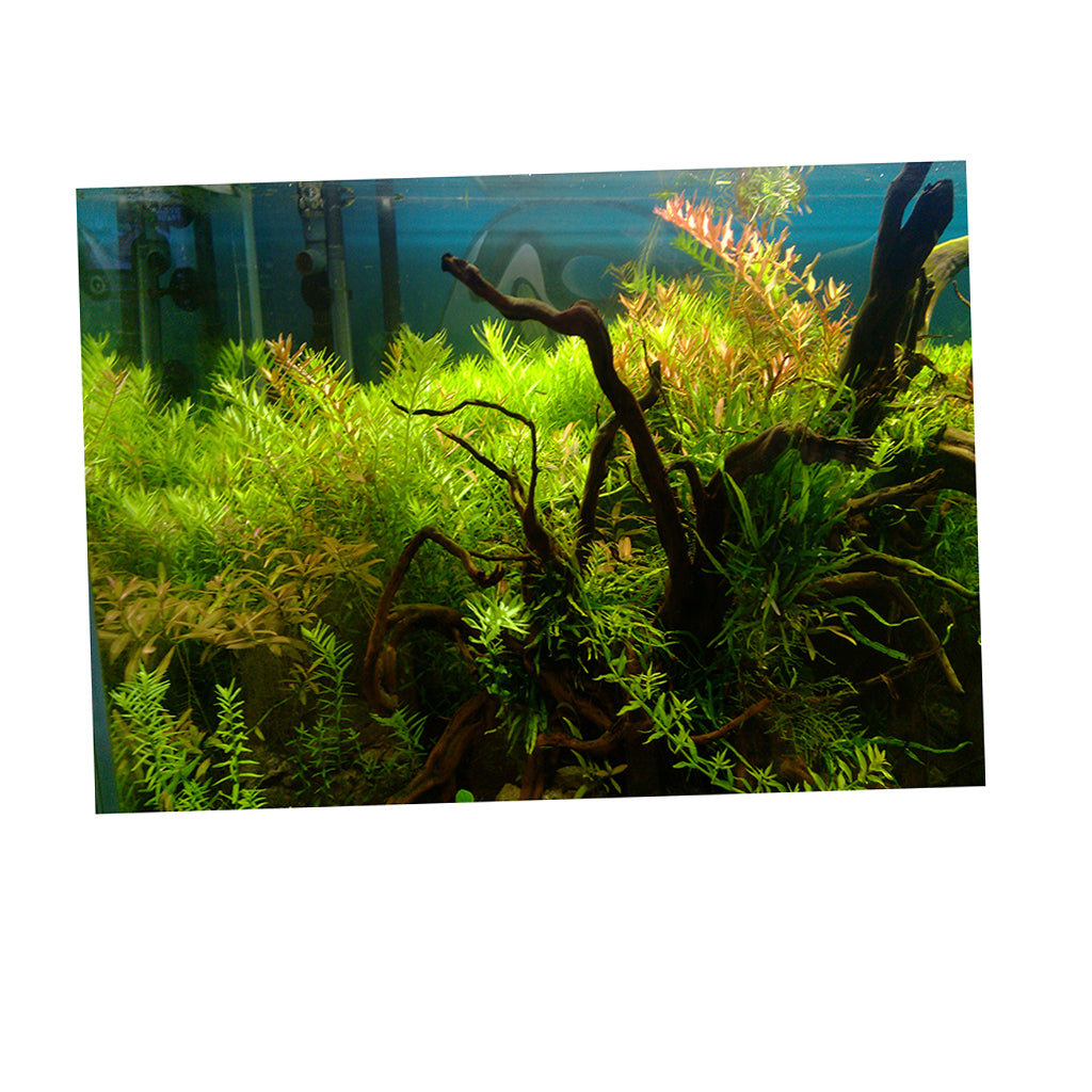 Aquarium Background Poster Fish Tank Wallpaper Sticker Underwater Decor L