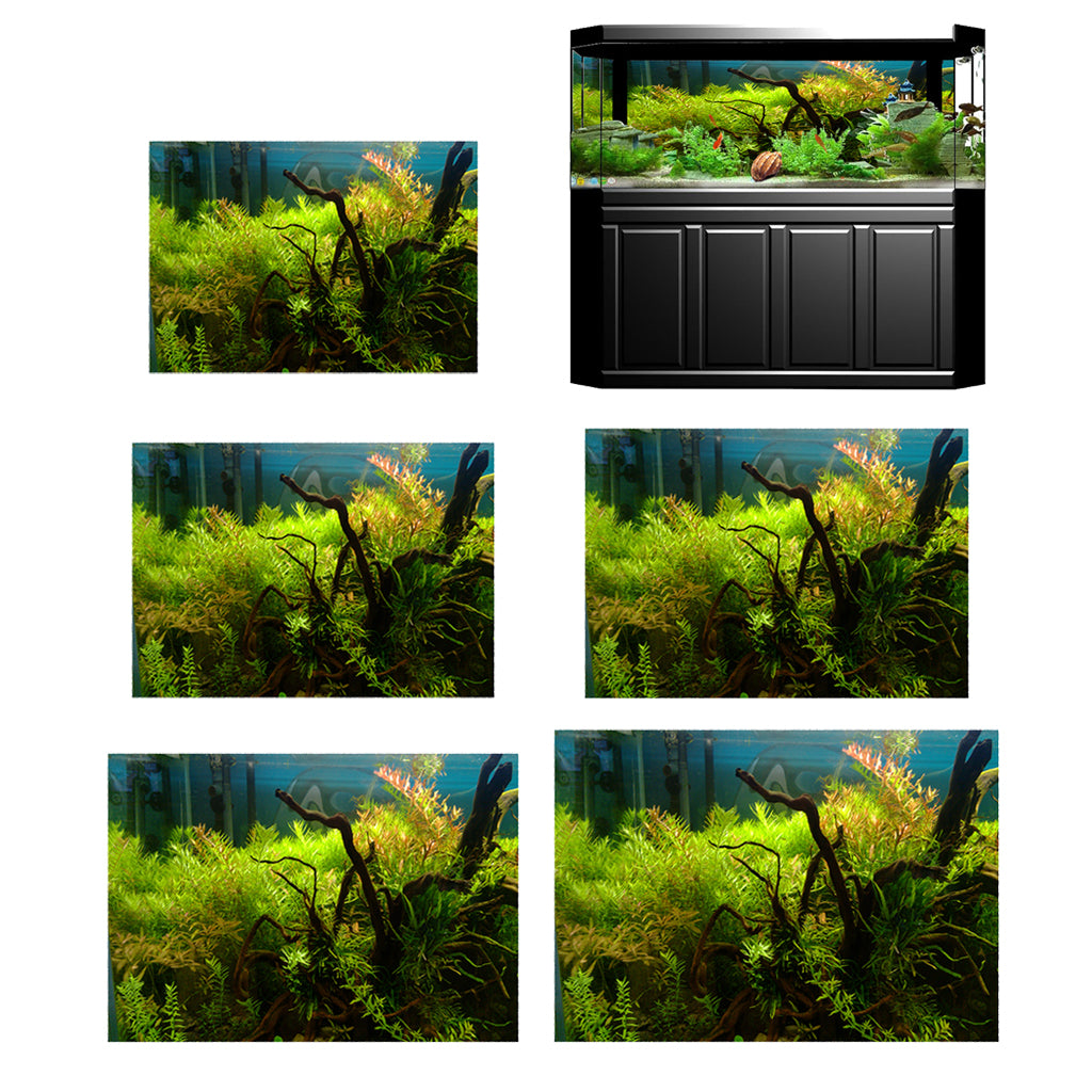 Aquarium Background Poster Fish Tank Wallpaper Sticker Underwater Decor XS