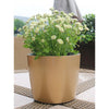 Self Watering Traditional Round Planter Pot  Gold